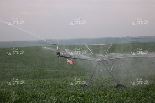Irrigation System in Corn Field 82083