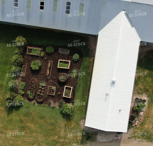 Garden by Barn 141008
