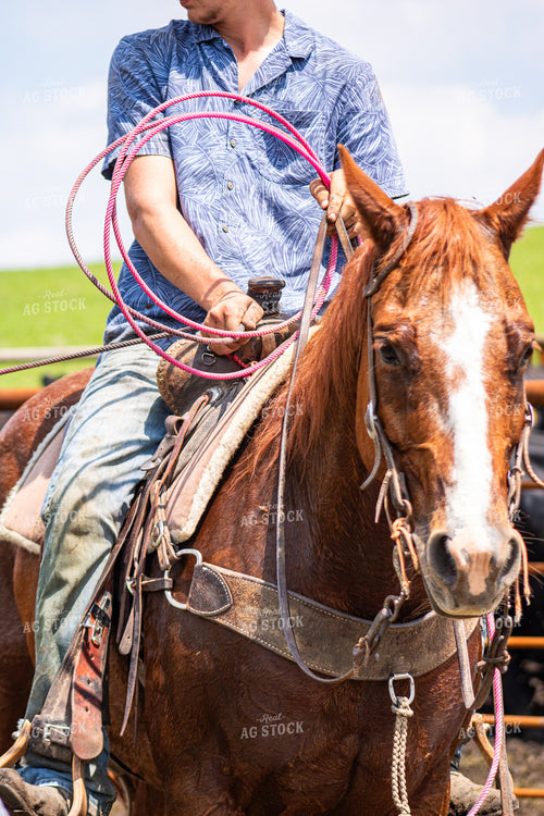 Rancher Holding Rope 214214