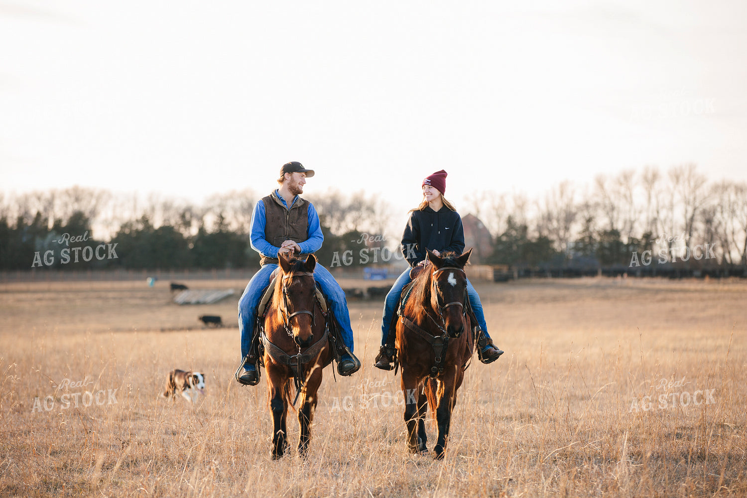 Ranchers on Horseback 285016