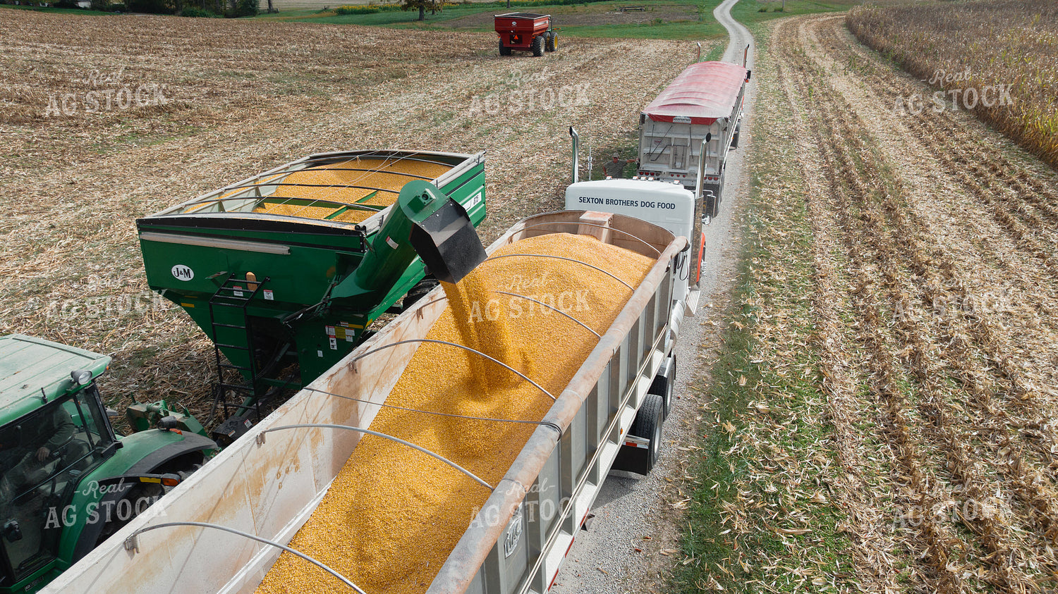 Unloading Grain into Semi 52997
