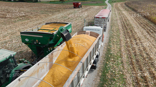 Unloading Grain into Semi 52997