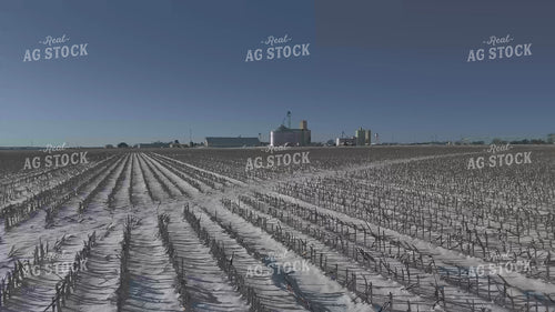 Aerial of Snowy Corn Stalks 239495