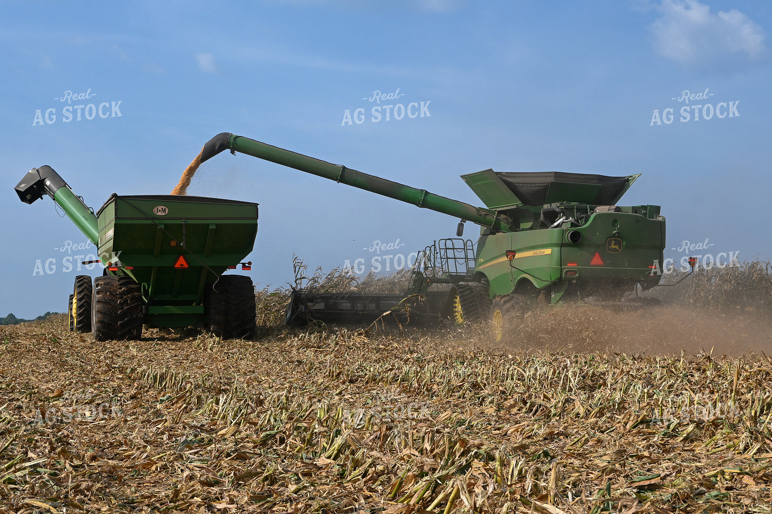 Corn Harvest 149017