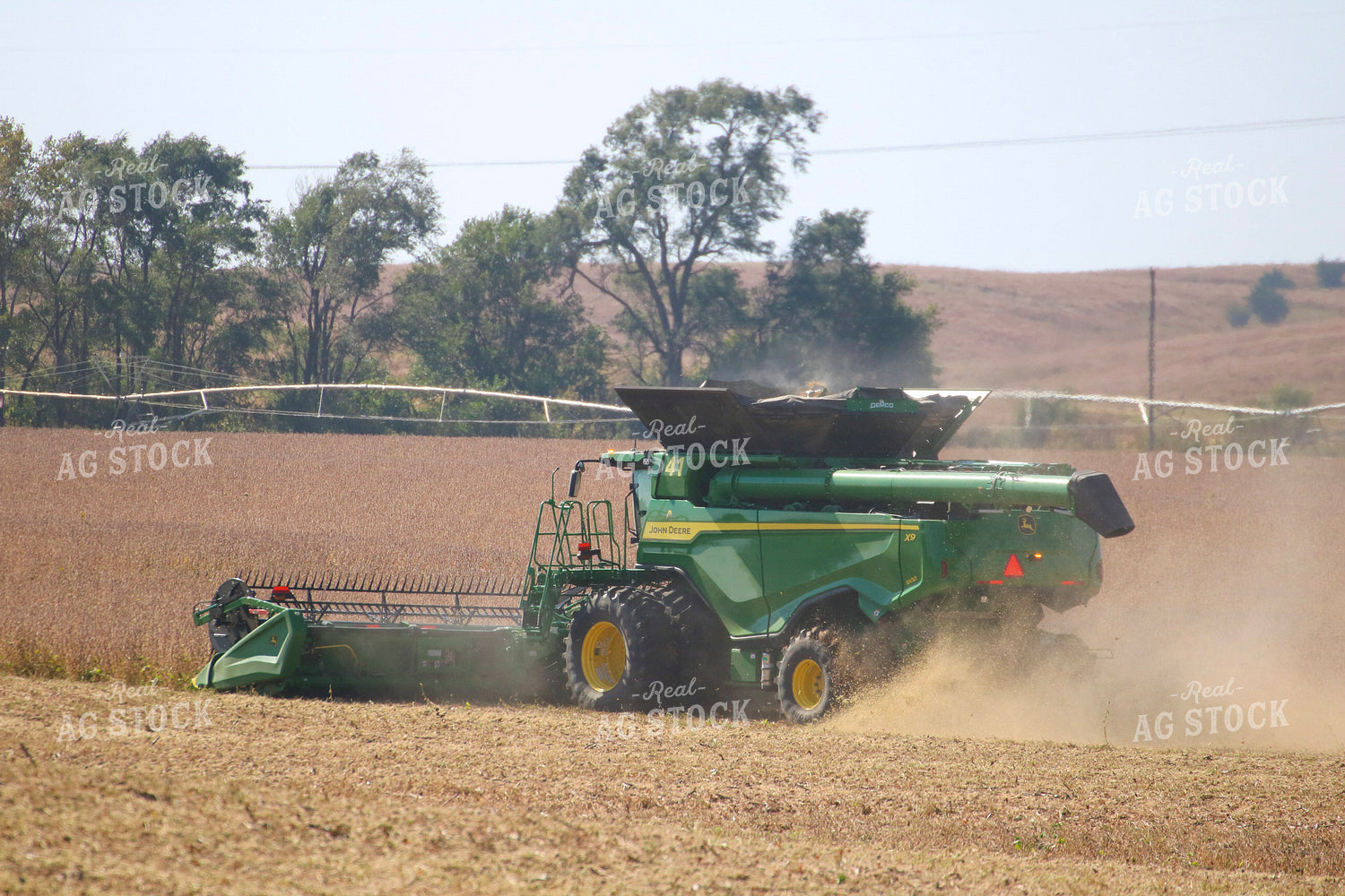 Soybean Harvest 82349