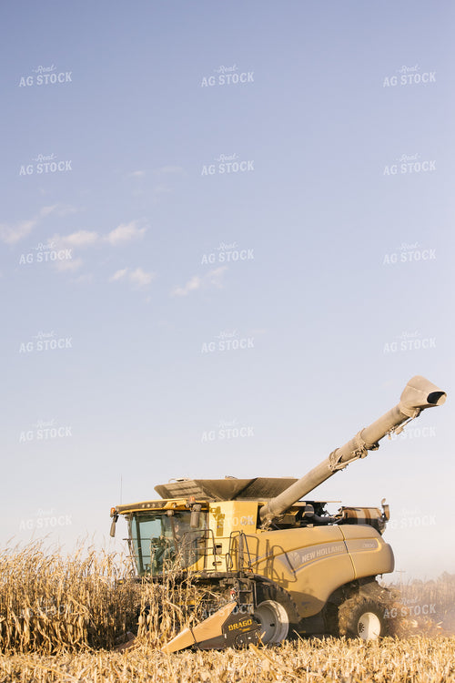 Nebraska Corn Harvest 70030
