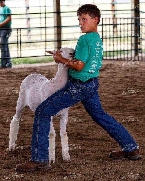 Youth Sheep Show 141713
