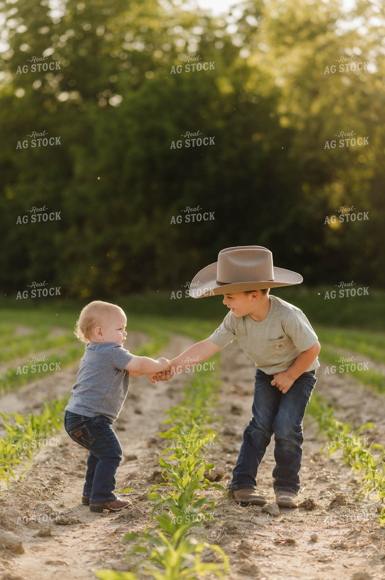 Farm Kids Playing in Early Growth Corn Field 115056
