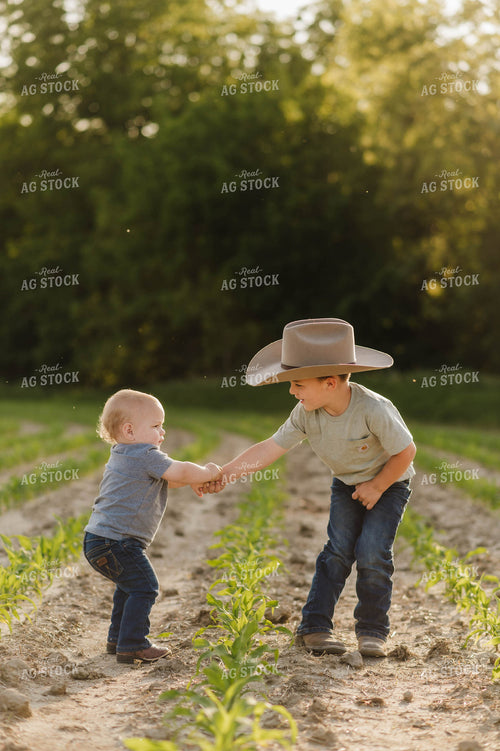 Farm Kids Playing in Early Growth Corn Field 115056