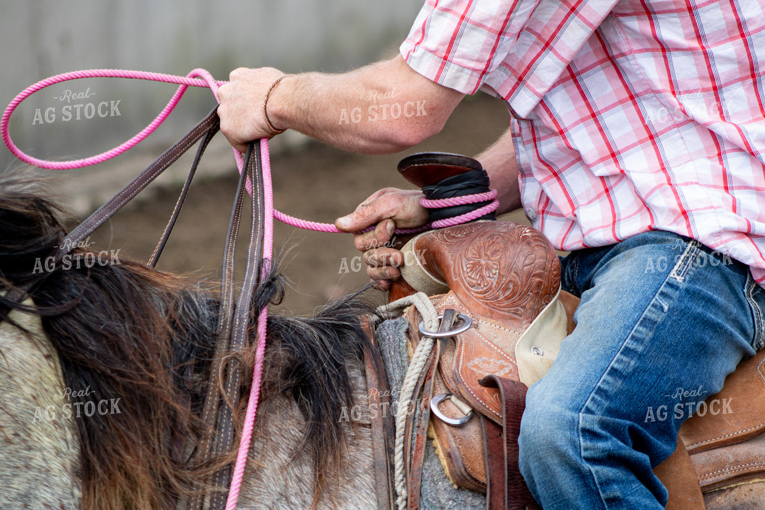 Rancher Holding Rope 214178