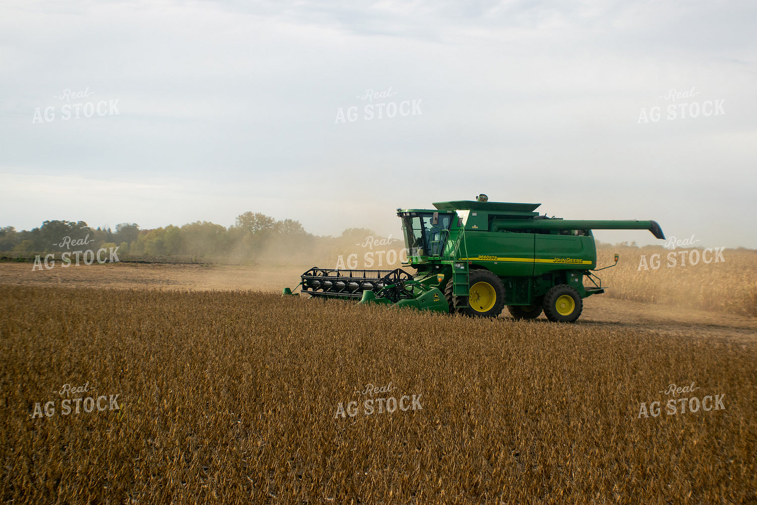 Combining Soybeans 50069