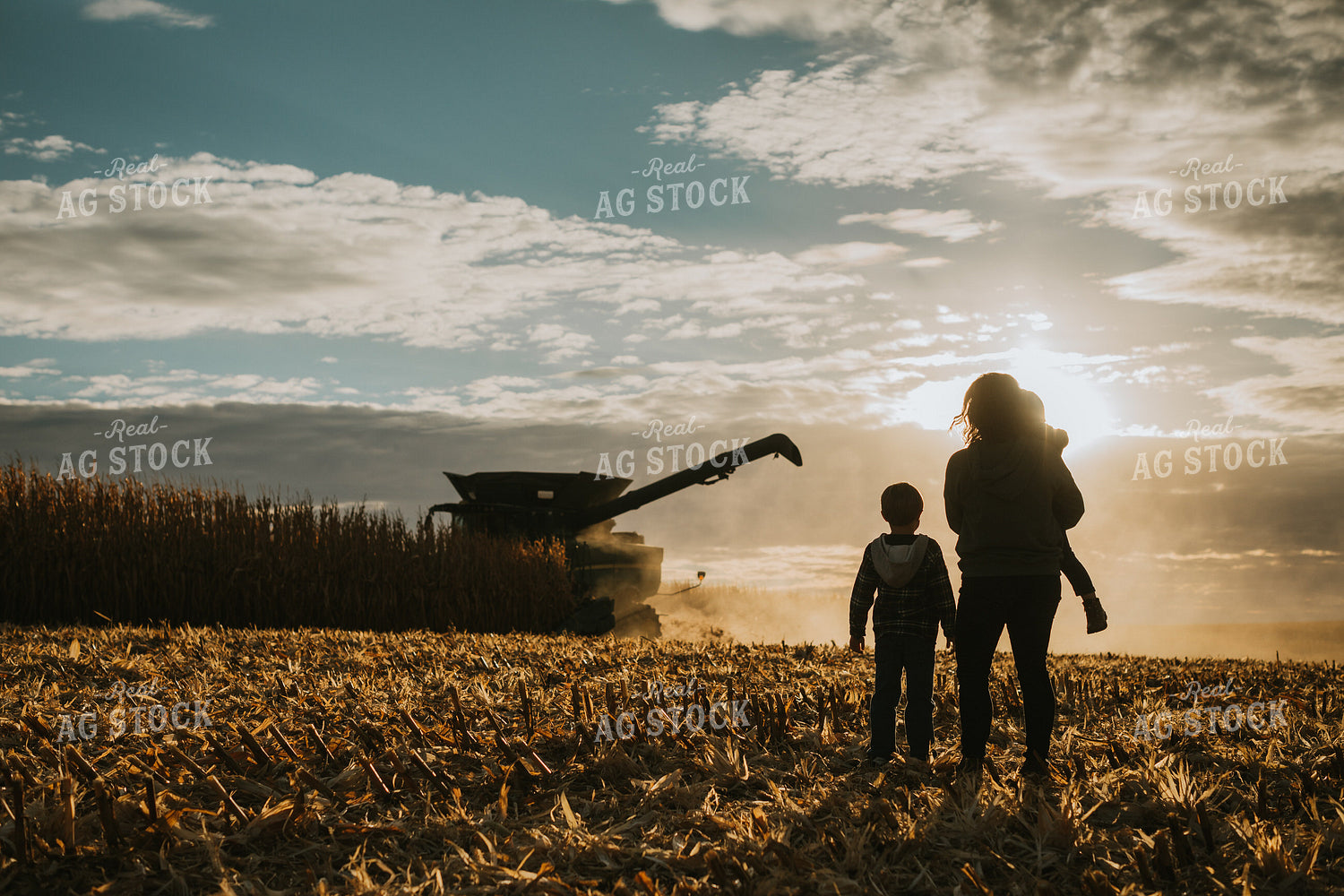 Farm Family in Corn Field 6953