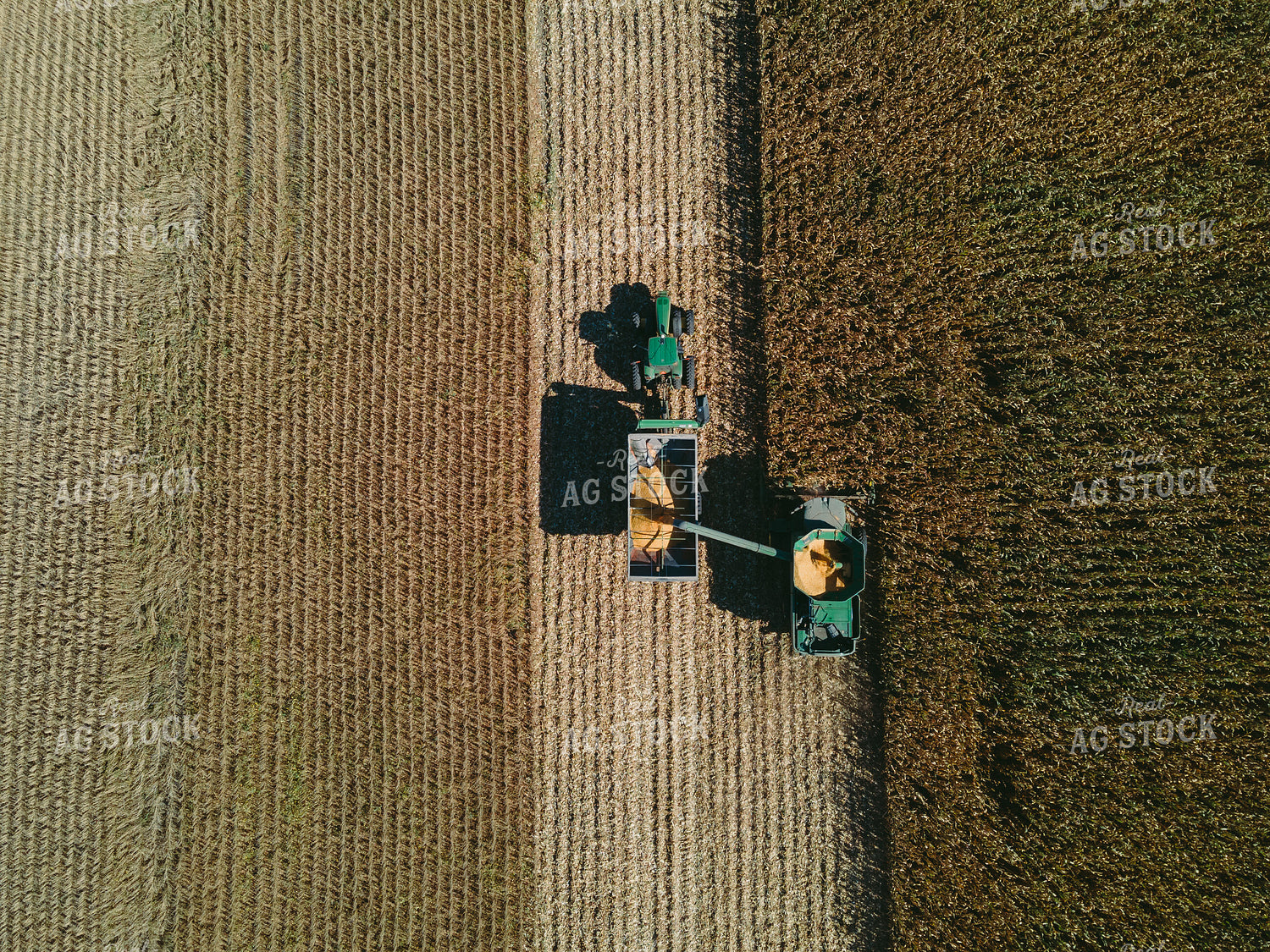 Overhead of Corn Harvest 4646
