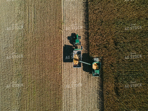 Overhead of Corn Harvest 4646