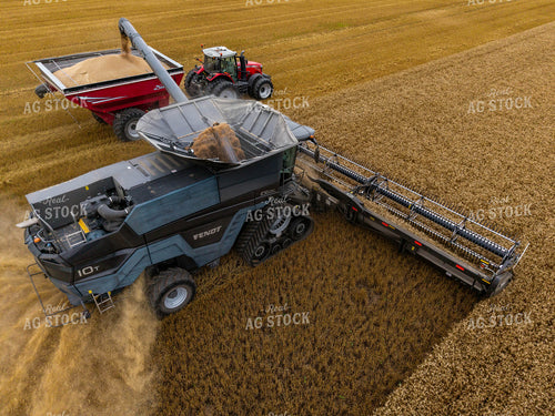Wheat Harvest 115971