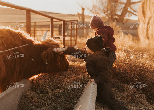 Ranch Kids Doing Chores 61229