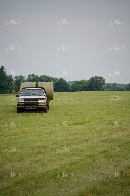 Driving Hay Bales to Storage 251166