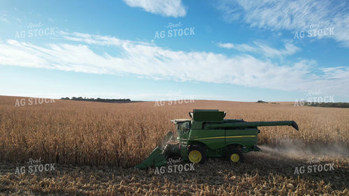 Aerial of Corn Harvest 65576