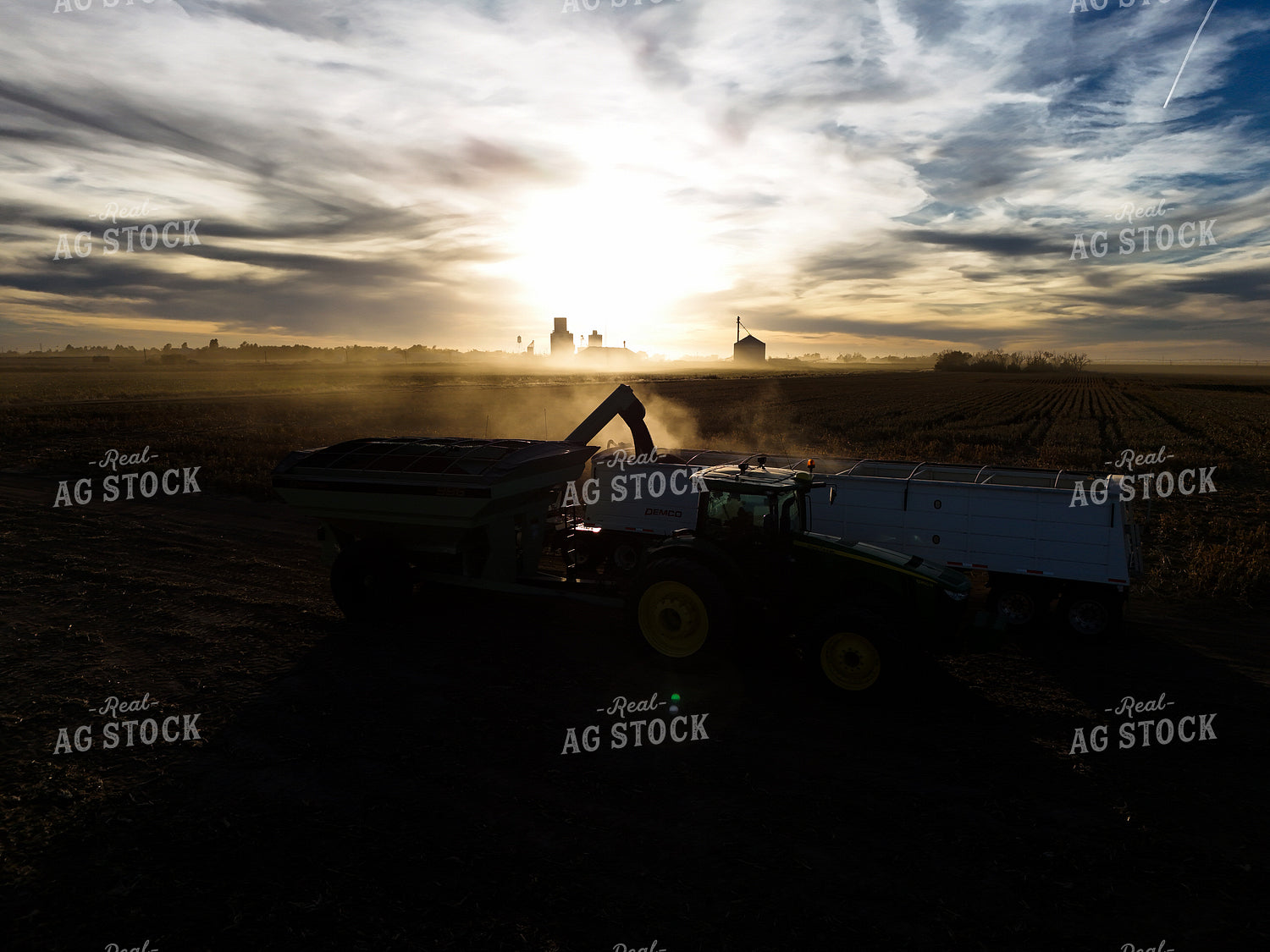 Unloading Milo During Harvest 239423