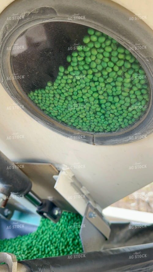 Treated Seeds 84146