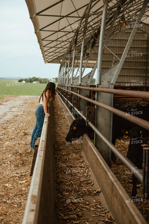 Female Farmer Checking Cattle 67767