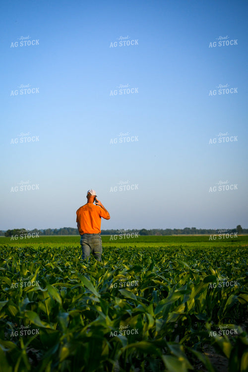 Farmer on Phone while Checking Corn 191124