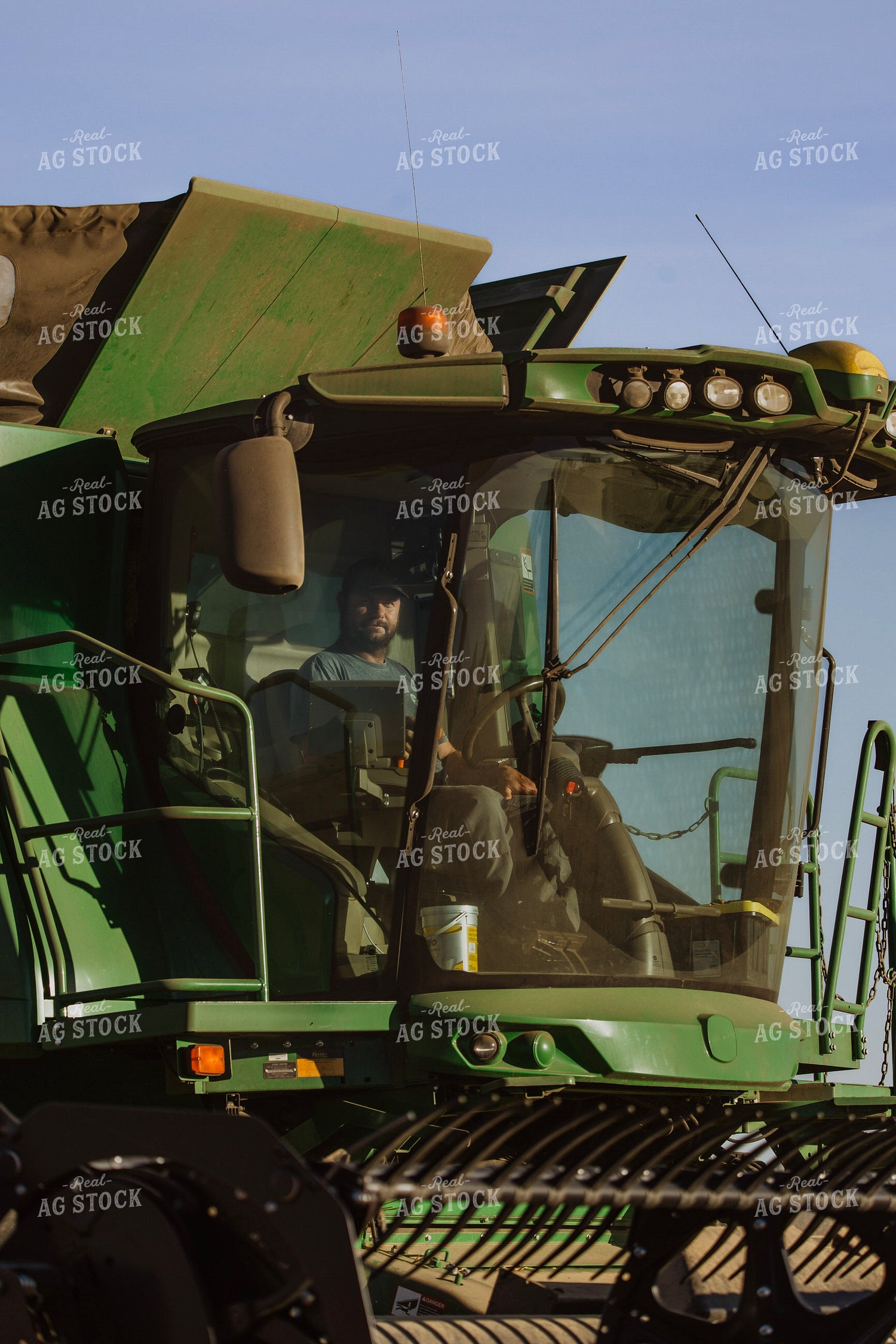 Wheat Harvest 187330