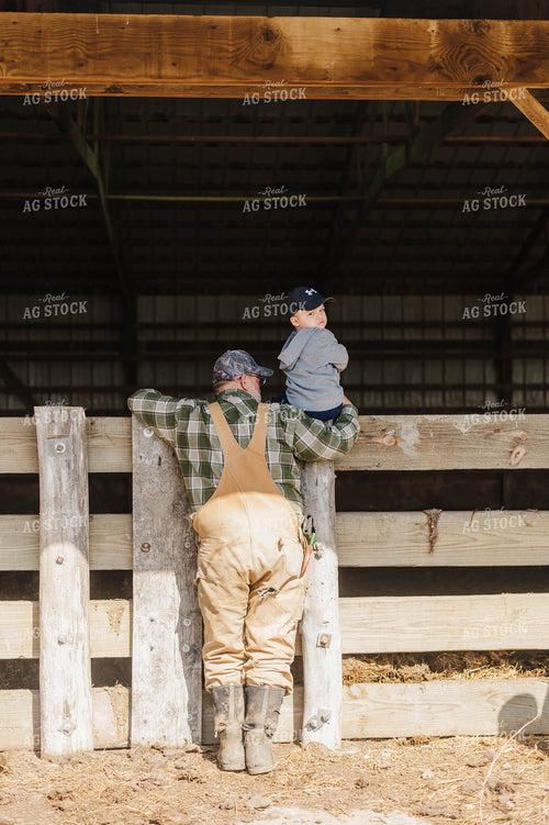 Farmer Holding Farm Boy Over Fence 115027