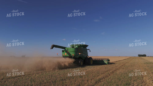 Wheat Harvest 239354