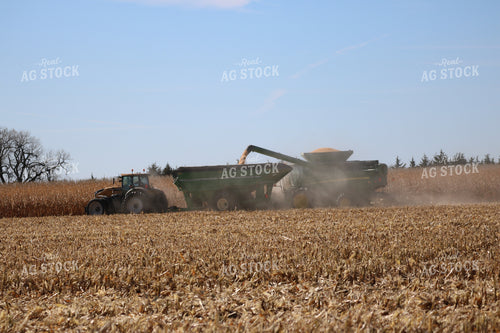 Corn Harvest 82021