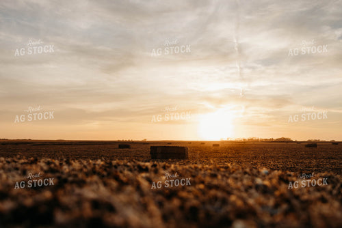 Wheat Straw Bales in Sunset 152074