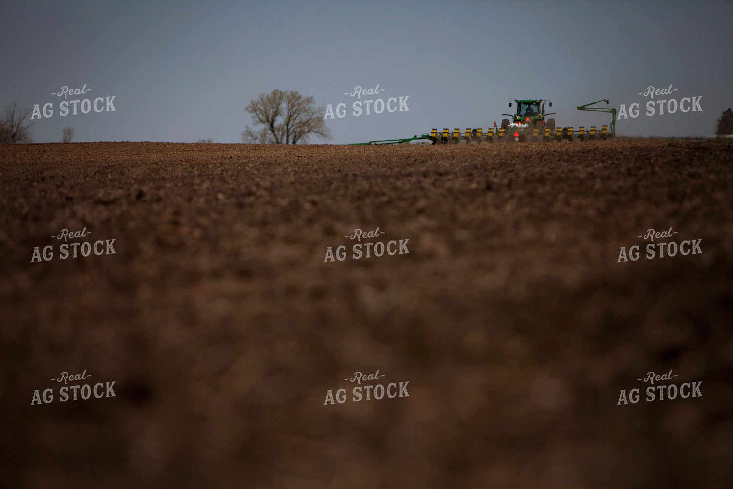 Planting 1989