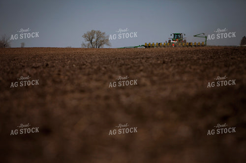 Planting 1989