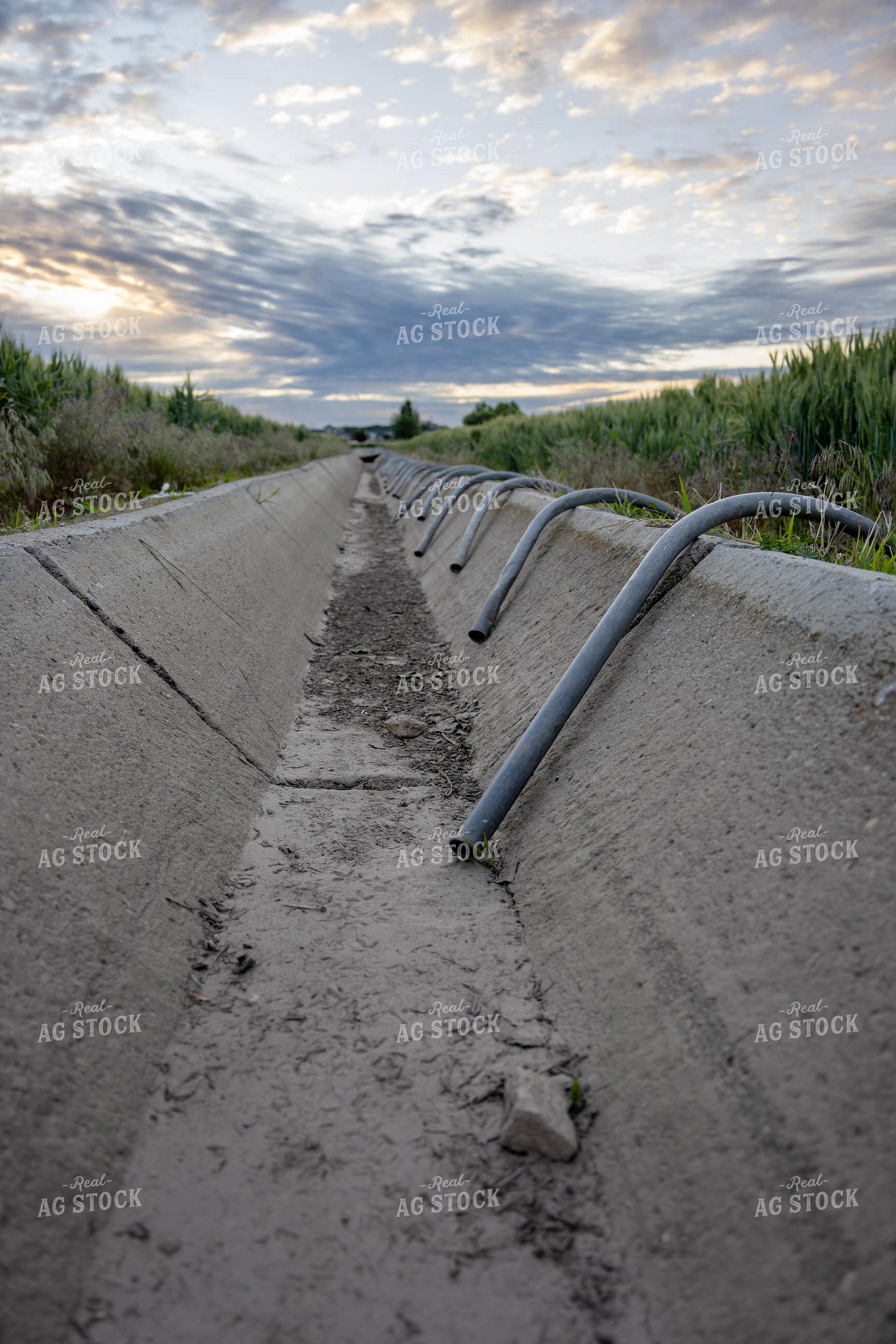 Irrigation Canal 65761