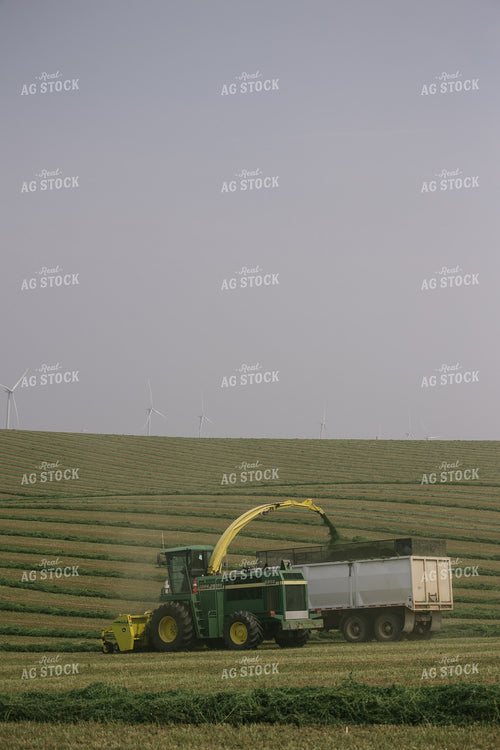 Harvesting Hay Silage 70083