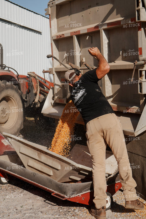 Filling Grain Bin 289014