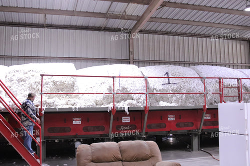 Cotton Processing Plant 102165