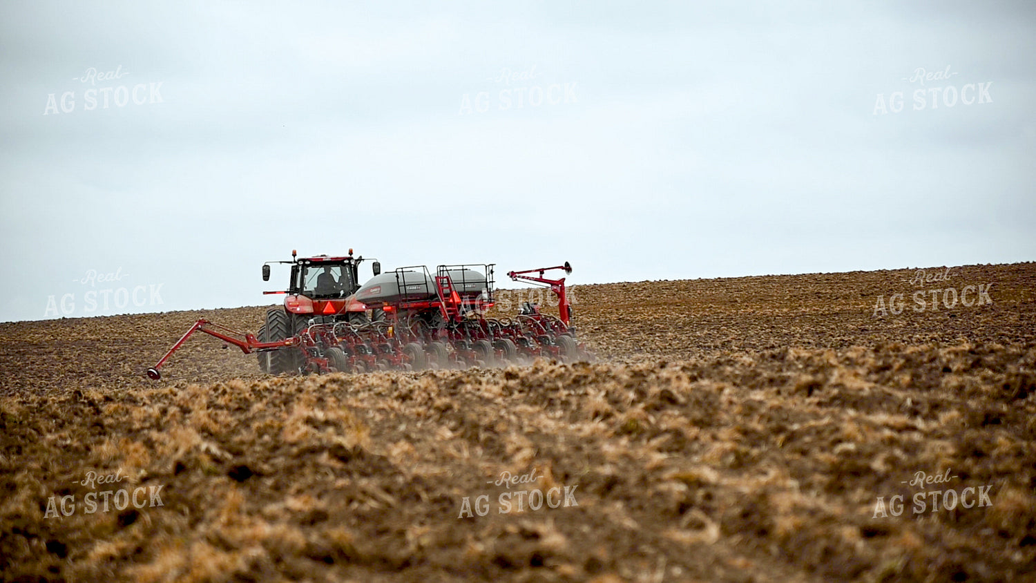 Planting into Tilled Cover Crops 25154