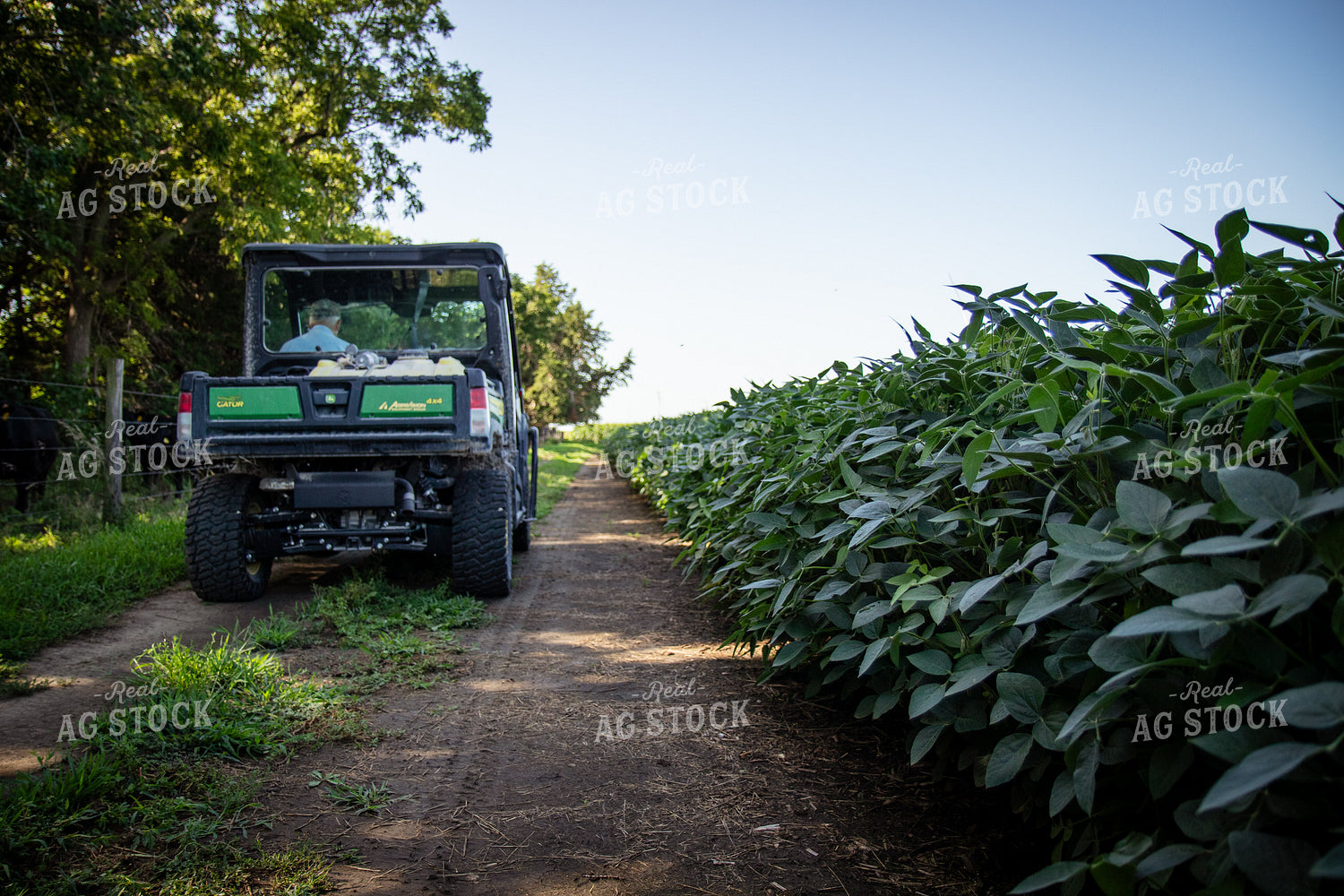Farmer Driving UTV 268148