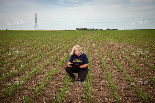 Female Agronomist Scouting Field 67751