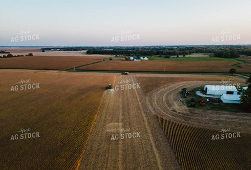 Soybean Harvest 115087