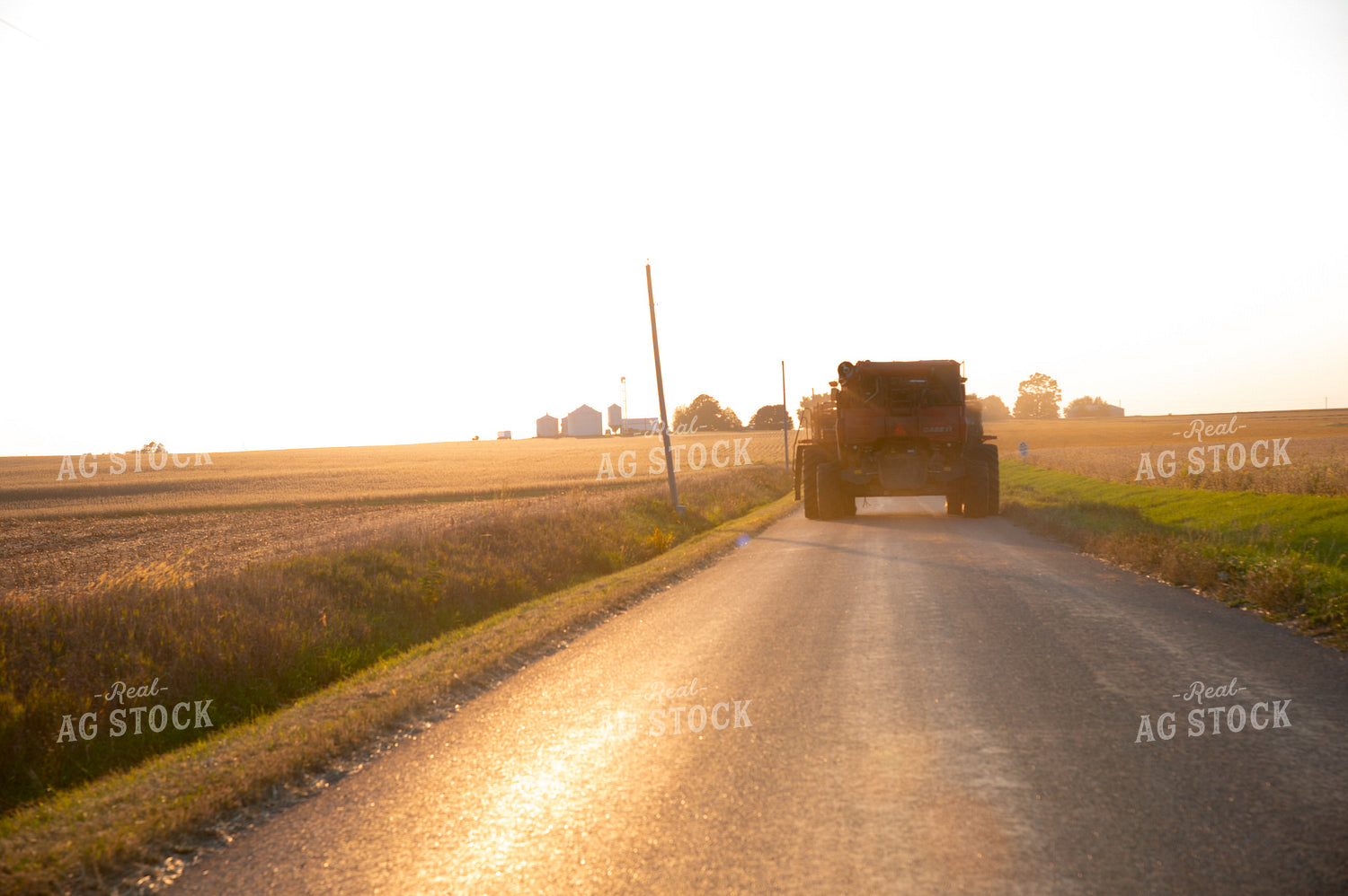 Semi-dried Soybean Field Before Storm 25453