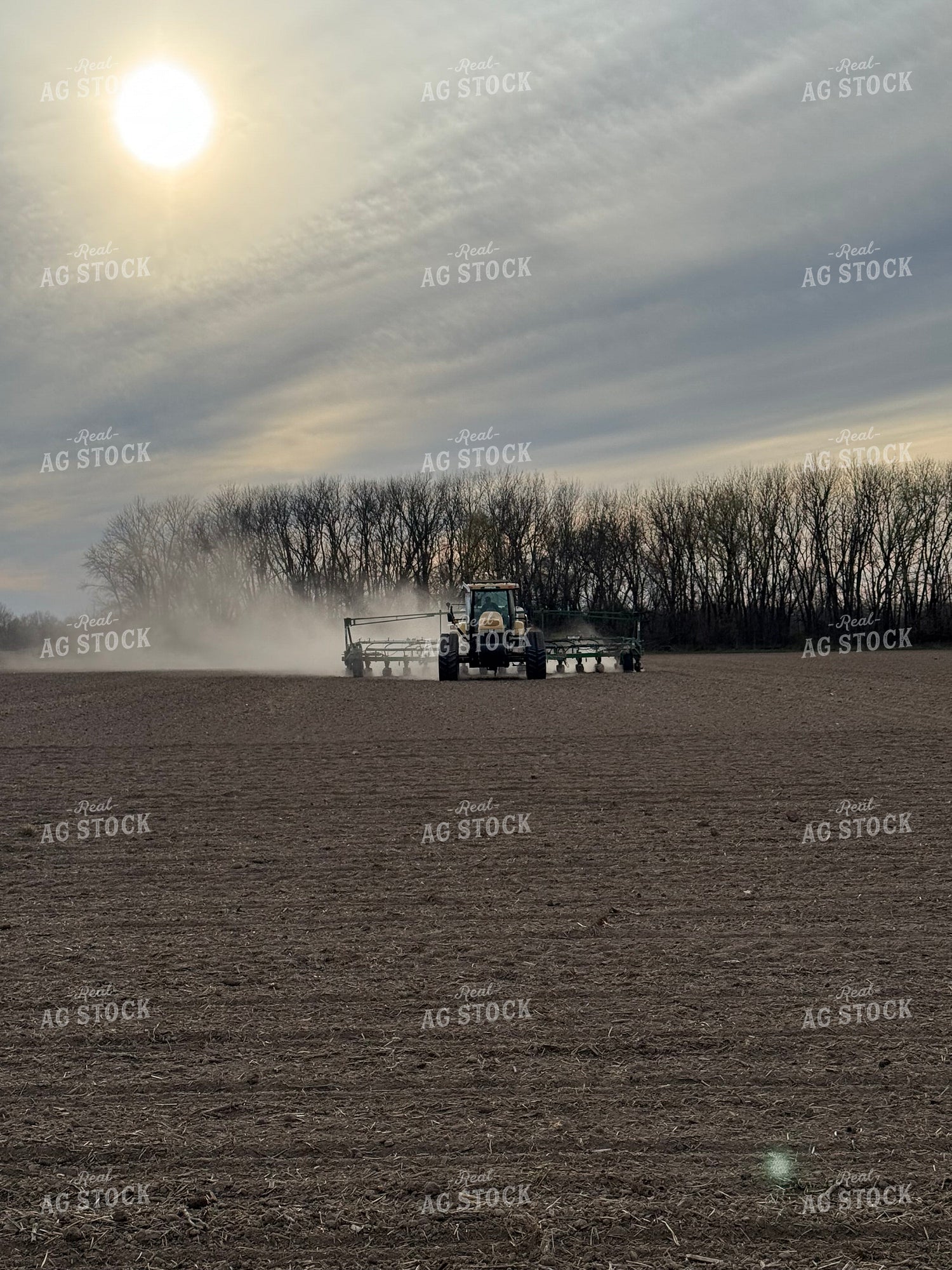 Planting 228012