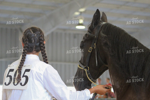4H Show Horse 52003