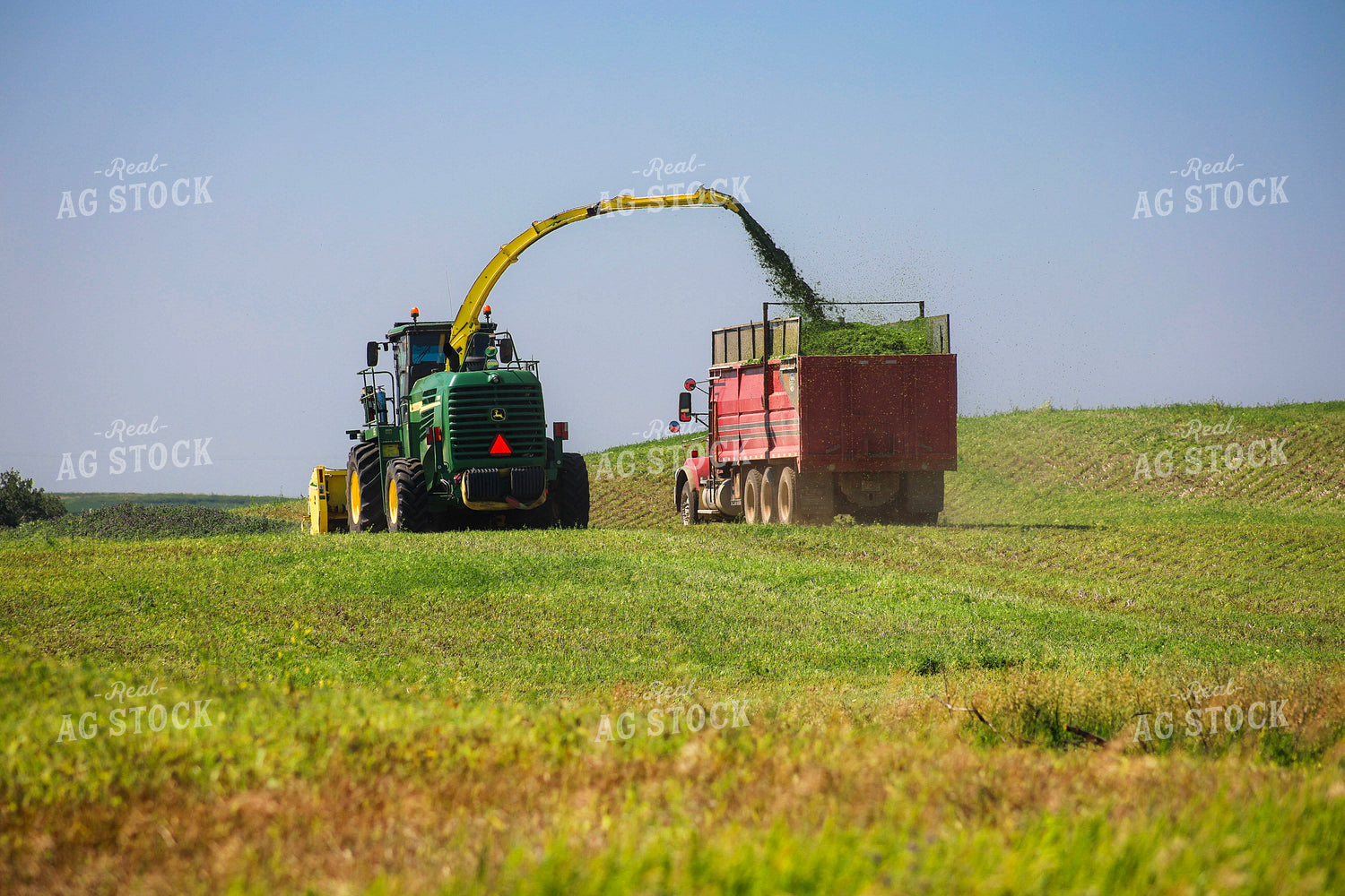 Silage Harvest 187106