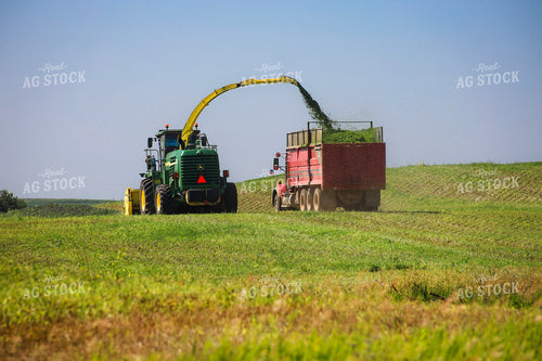 Silage Harvest 187106
