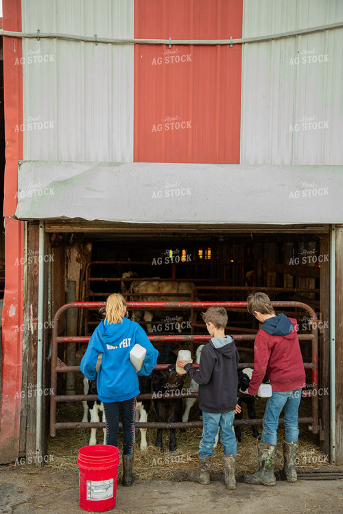 Dairy Farm Kids Bottle Feeding Calves 142037