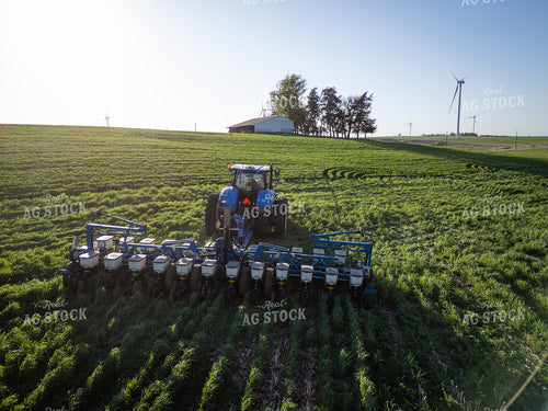 Planting into Cover Crop 268320