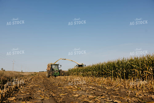 Chopping Corn Silage 152532