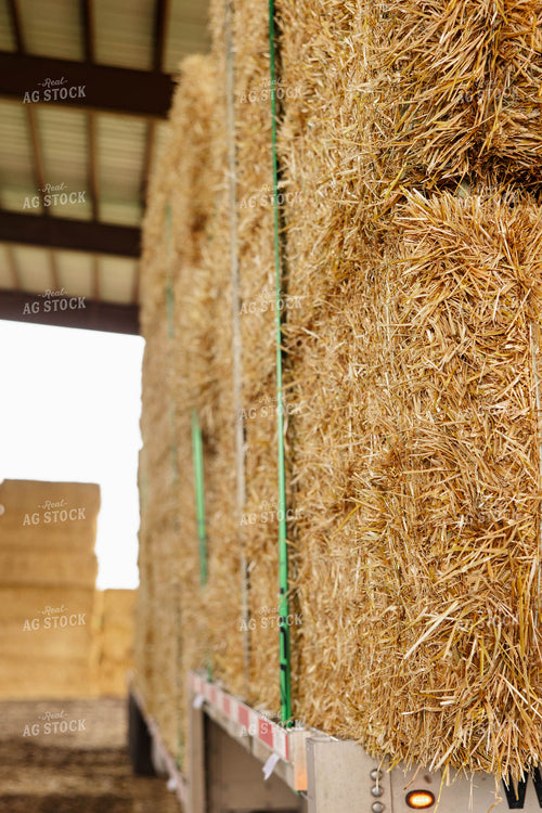 Moving Wheat Straw Bales 152672